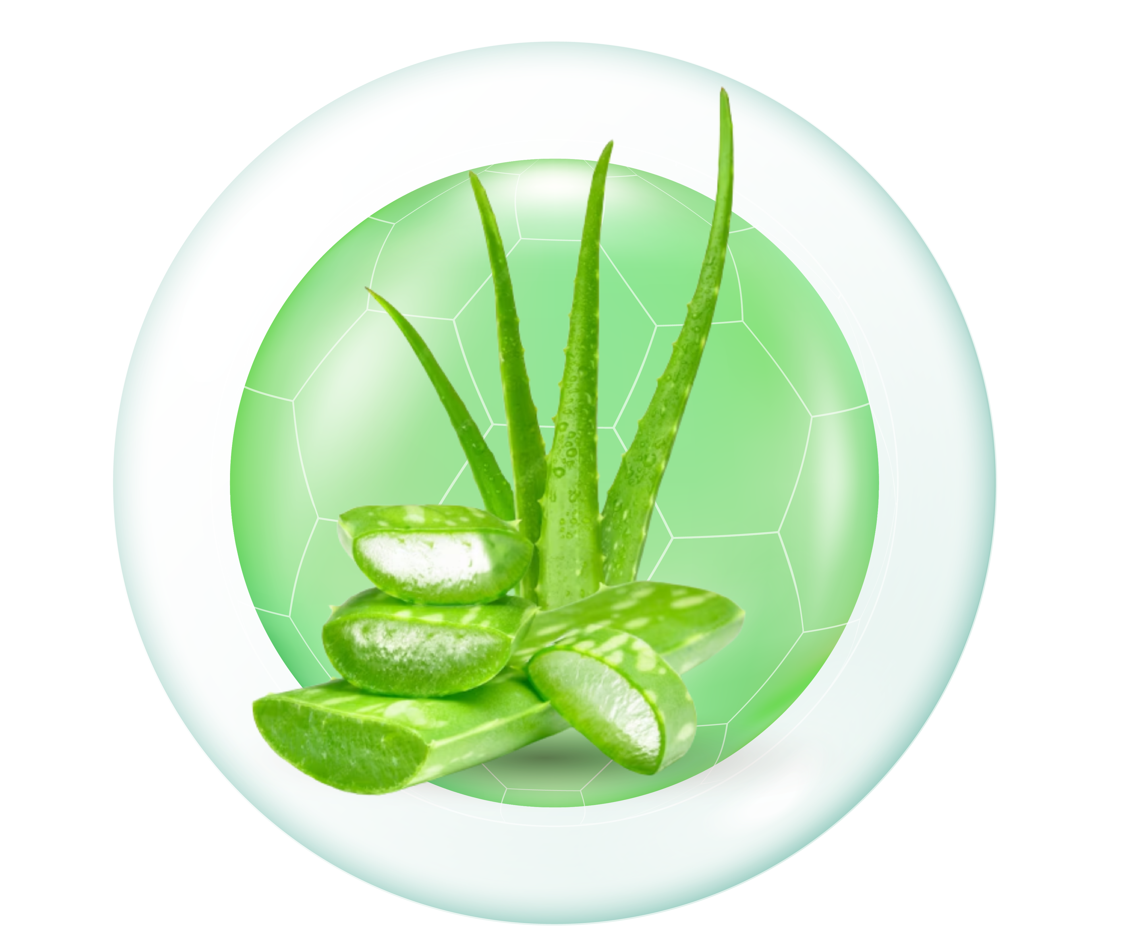 Cleansing Gel Features